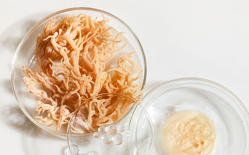a bowl of irish sea moss