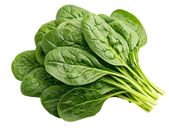 Essential Vitamins & Minerals
