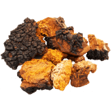 A pile of Chaga mushrooms with a rough, dark exterior and an orange-brown interior, used for tea.
