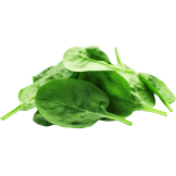 Fresh green spinach leaves