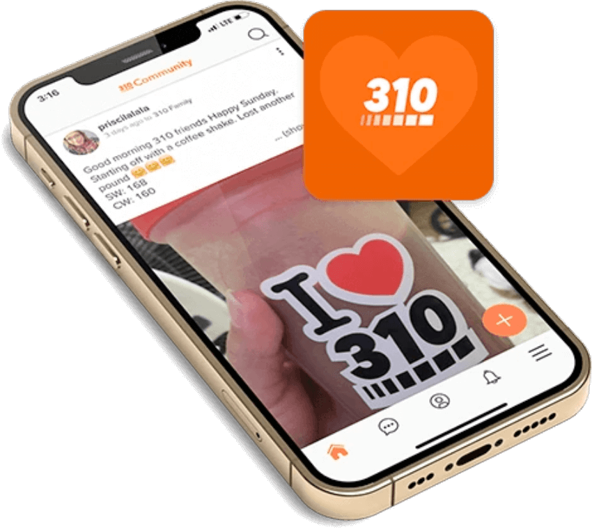 310 Shake Recipes