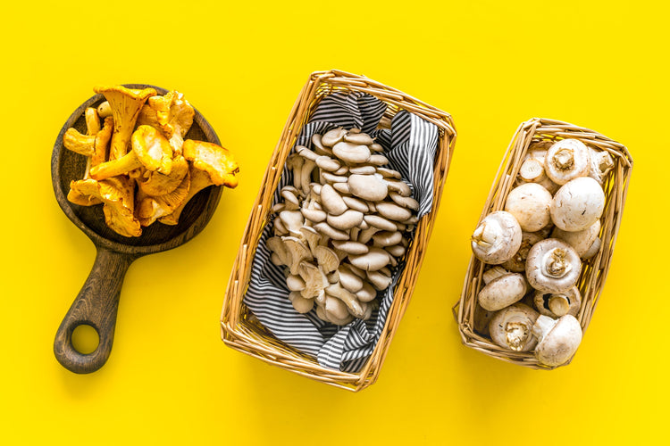 Three different kinds of adaptogens against a yellow background