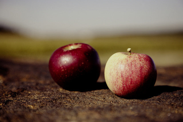 two apples on the ground