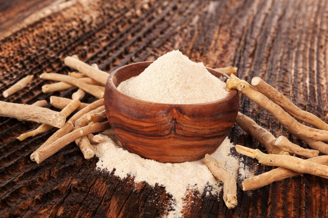 Ashwagandha herb and ashwagandha powder on a table