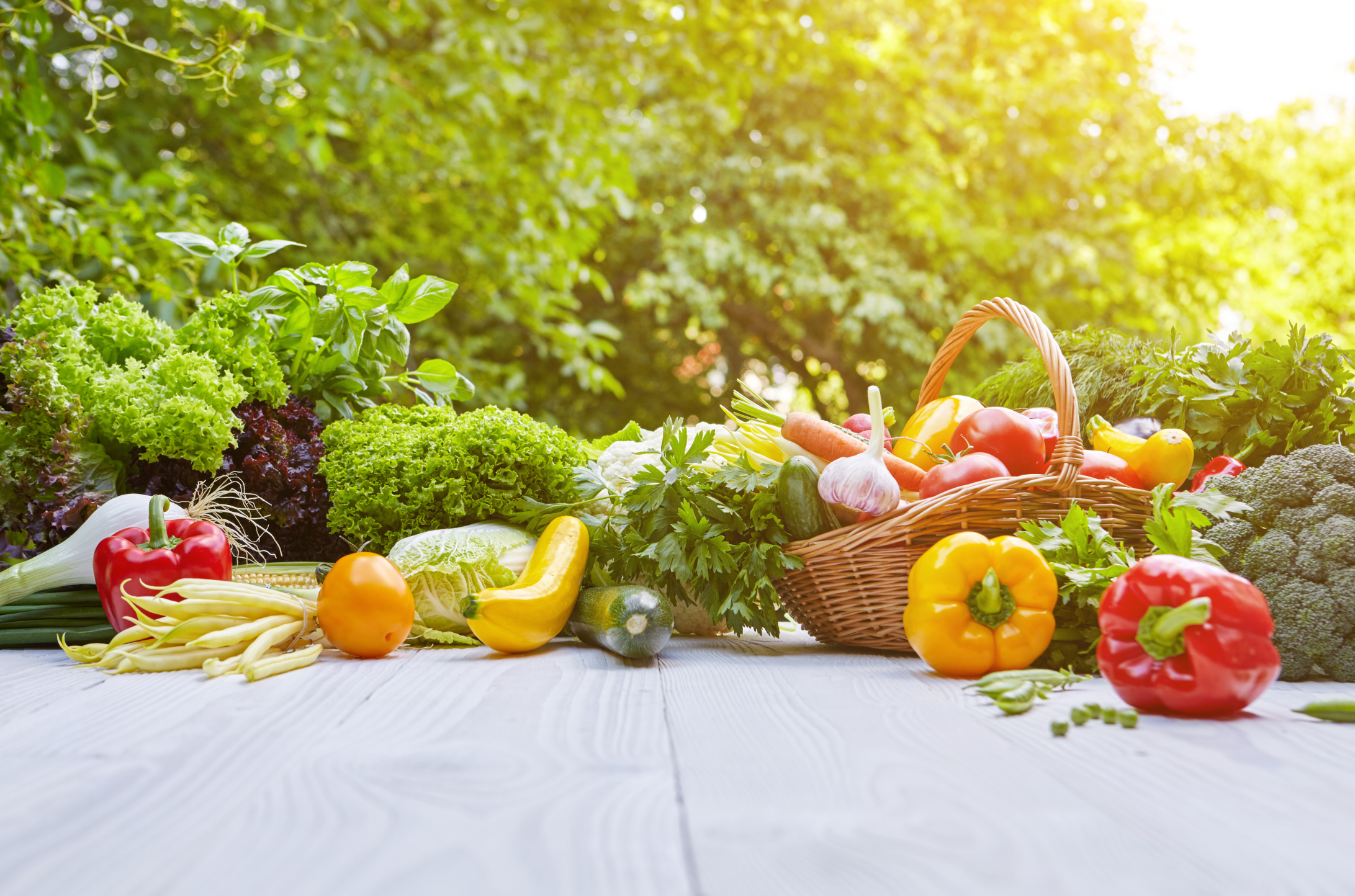 Fresh organic vegetables and fruits on wood table in the garden