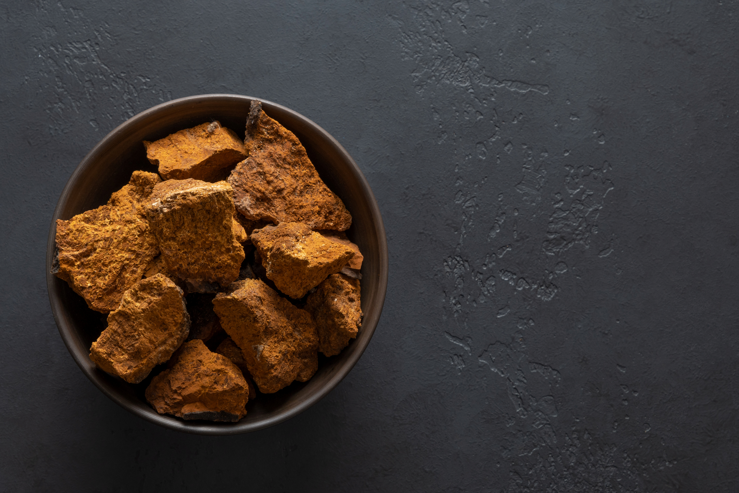 a bowl full of chaga mushrooms
