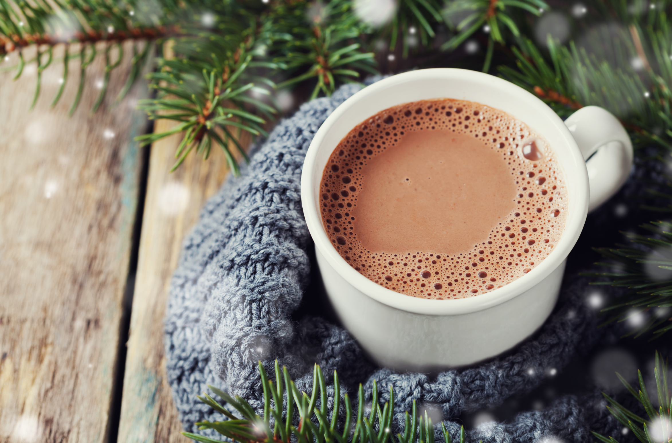 classic hot chocolate shake in a mug