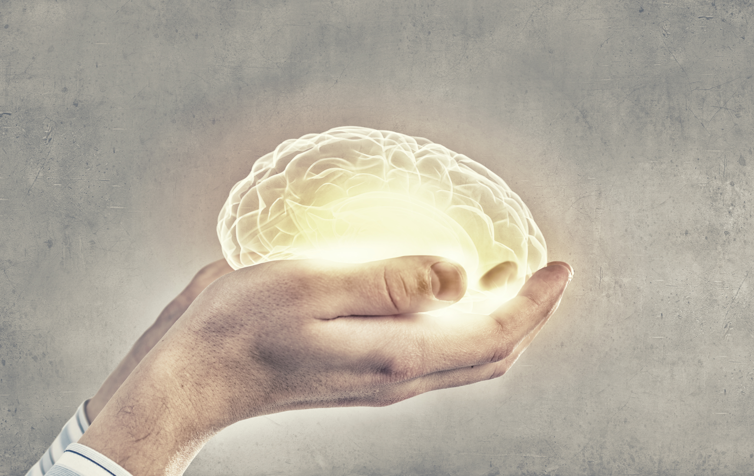 Close up of human hand holding brain