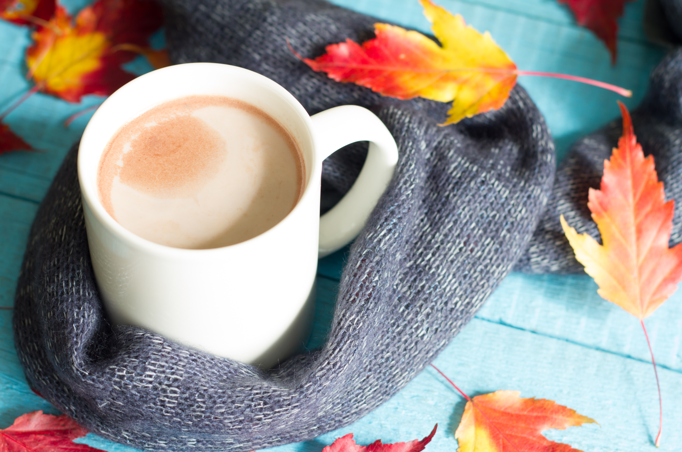  Cup of mocha with scarf and autumn leaves