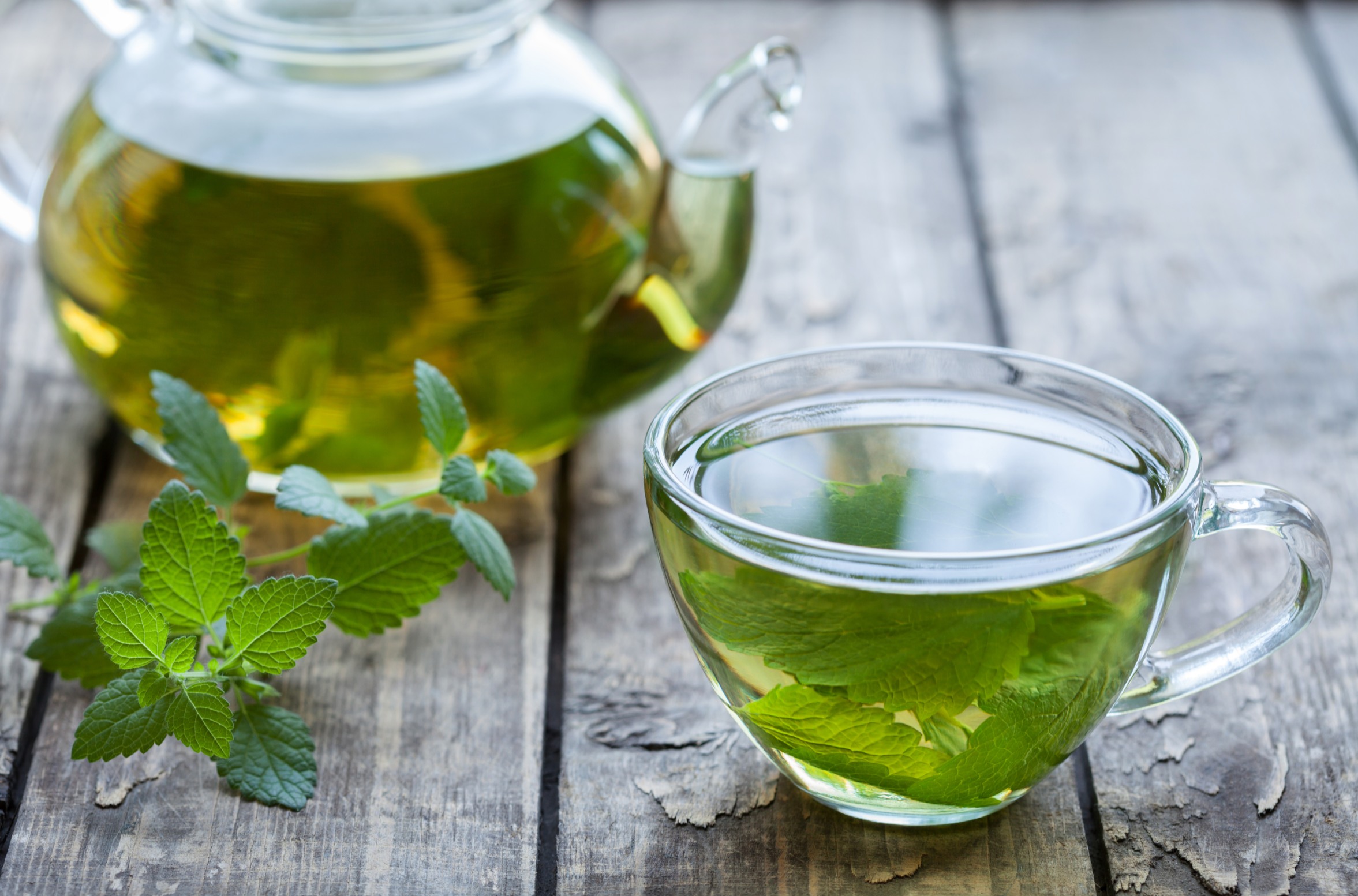 pot and cup of hot peppermint tea on wooden table