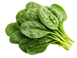 26 Vitamins & Minerals