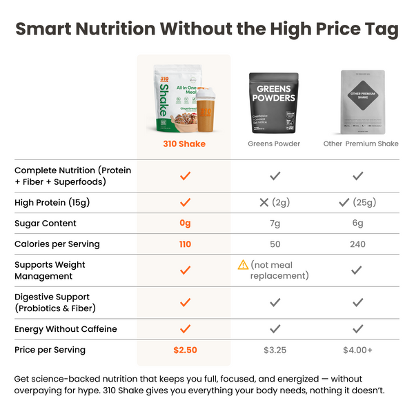 310 Gingerbread Shake - 28 serving
