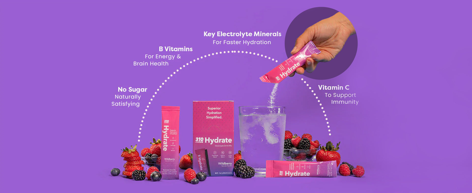 310 Hydrate - Wildberry Flavored Drink | 310 Nutrition