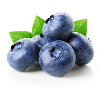 Vitamin B12