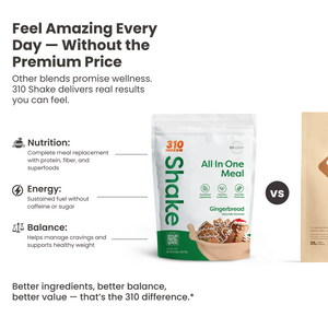 310 Gingerbread Shake - 28 serving