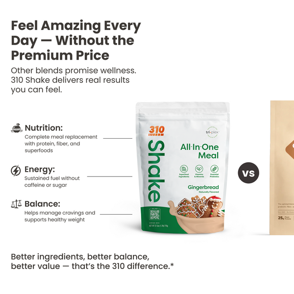 310 Gingerbread Shake - 28 serving