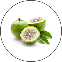 Monk Fruit Extract