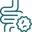 Gut Health