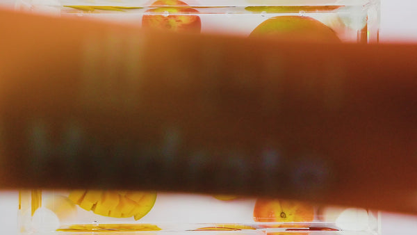 1708696910-406acd053b852034.mp4