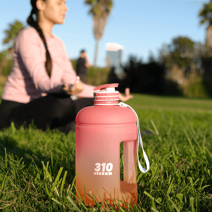 310 Fruit Infusion Water Bottle – 310 Nutrition